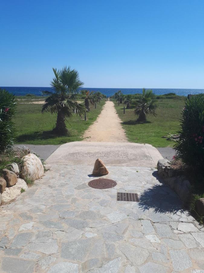 Villa Climatisee A Nuciola Prunete Entre Mer, Montagne Et Piscine سيرفيون المظهر الخارجي الصورة