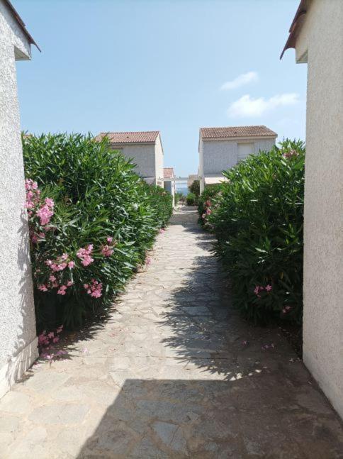Villa Climatisee A Nuciola Prunete Entre Mer, Montagne Et Piscine سيرفيون المظهر الخارجي الصورة
