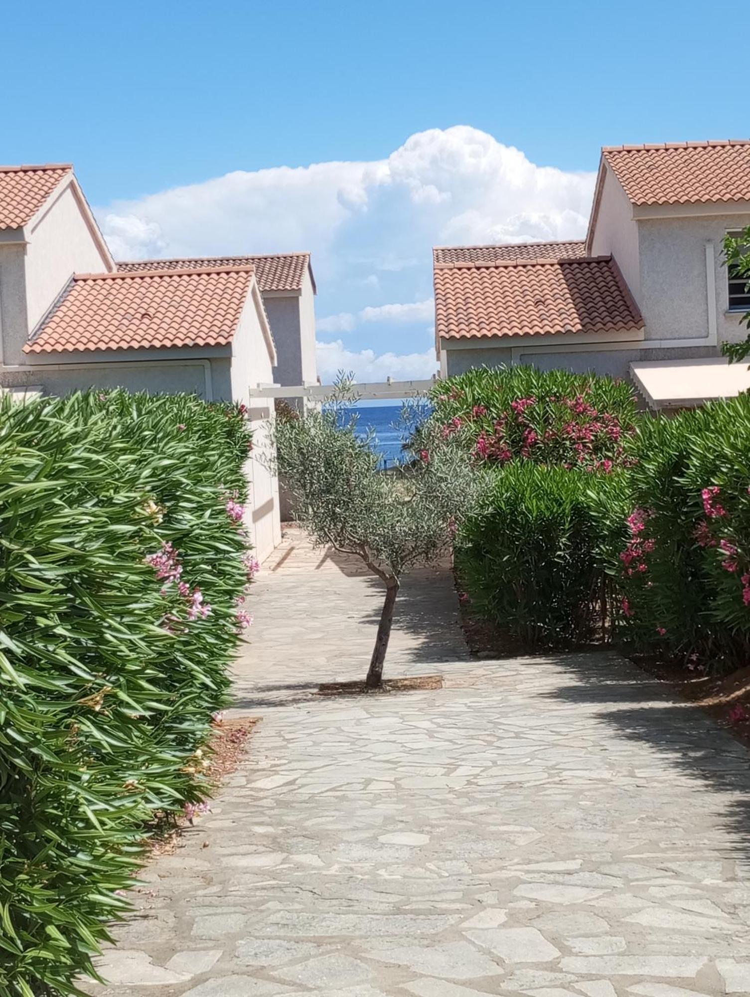 Villa Climatisee A Nuciola Prunete Entre Mer, Montagne Et Piscine سيرفيون المظهر الخارجي الصورة