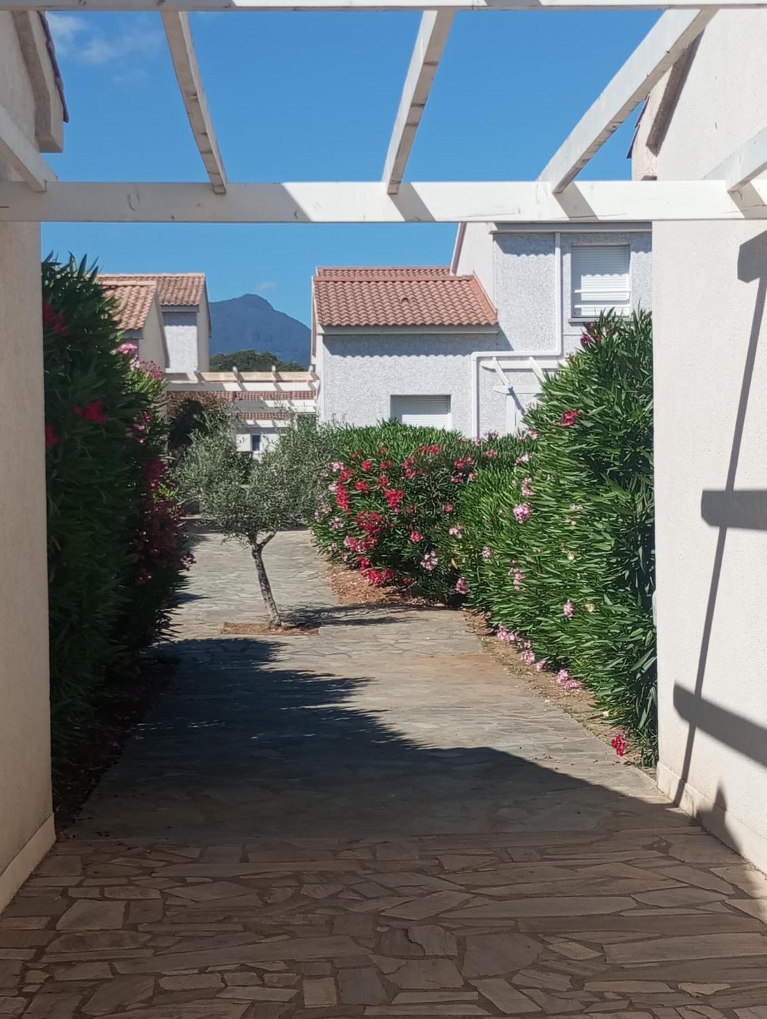 Villa Climatisee A Nuciola Prunete Entre Mer, Montagne Et Piscine سيرفيون المظهر الخارجي الصورة