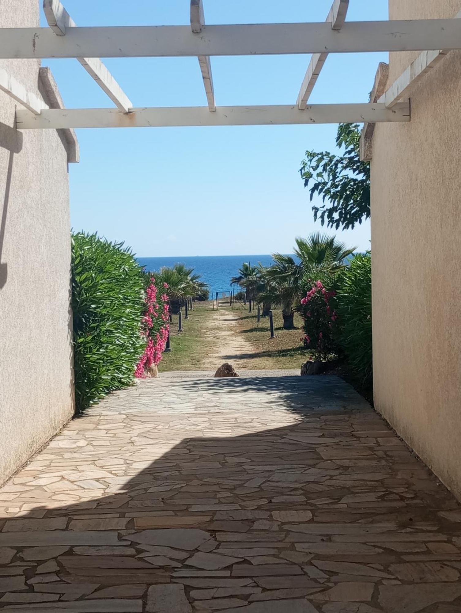 Villa Climatisee A Nuciola Prunete Entre Mer, Montagne Et Piscine سيرفيون المظهر الخارجي الصورة